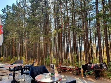 Apartment White Bear