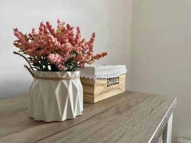 Apartments Mount Inn Studio