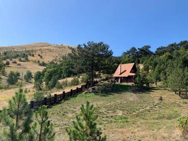 Brvnara ispod Čigote