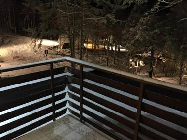 Apartman S9 Vila Pekovic Green