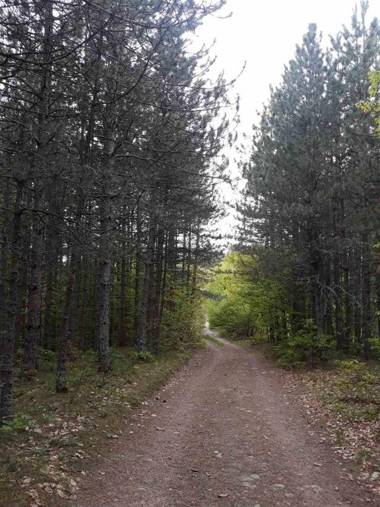 Zlatiborska seoska idila