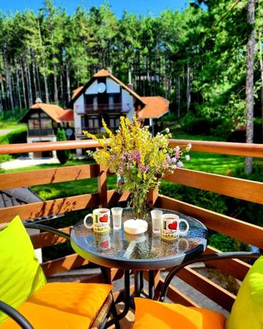 Zlatibor apartman Evergreen