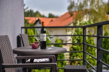 Apartment Vanja Lux Binis