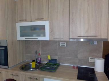 HAPPY FAMILY JELENA ANŽUJSKA