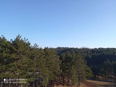 NIDEHO Estate Apartmani