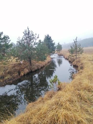 Garac Zlatibor Vikendica