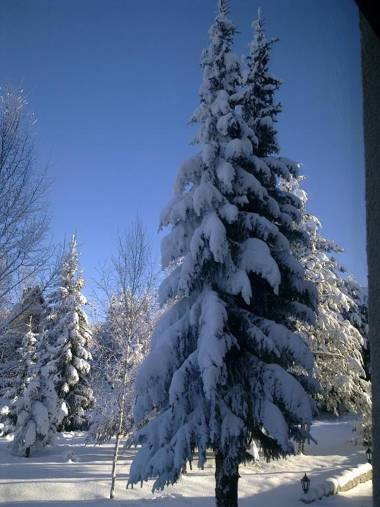 Apartman Zlatibor Srbija