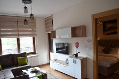 Vila Elsa 2 apartman Kosta Todorović