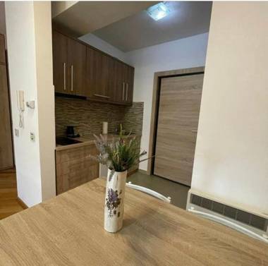 Apartman MS Zlatibor
