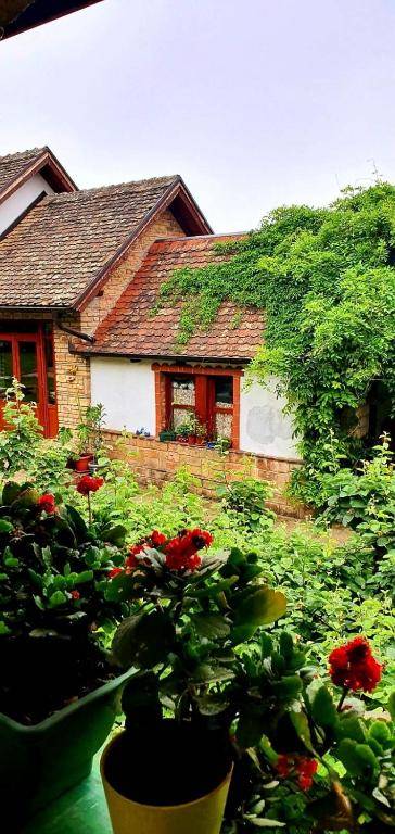 Apartment Ilkićev kućerak