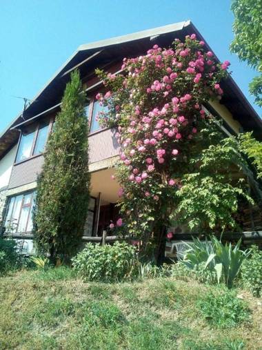 Apartment Noletov vidikovac