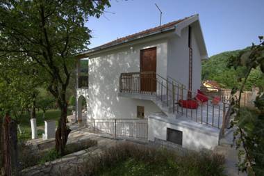 Apartment Honey and milk