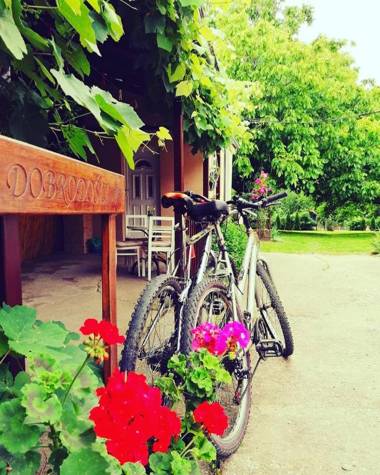 Vrdnik apartmani Sara