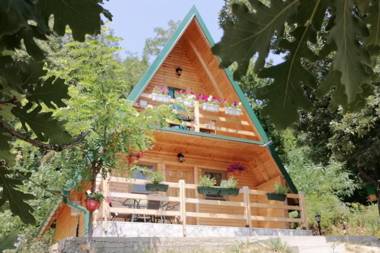 Lux Brvnara Vilenjak