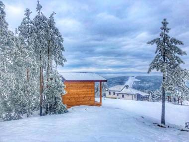 Apartmani Smigic Divcibare