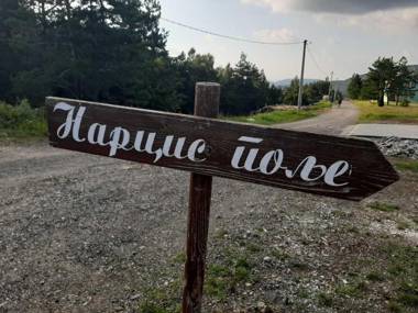 Apartman Narcis Polje 2