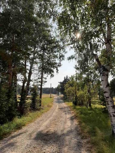 Apartman Narcis Polje