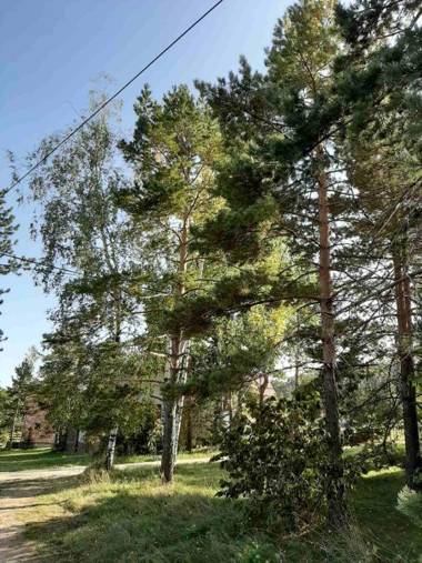 Apartman Narcis Polje