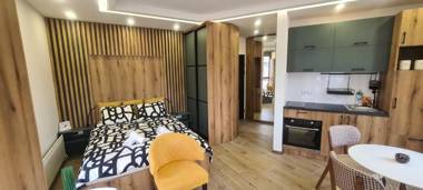 Studio Mina Divcibare