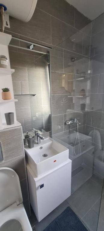 Studio Mina Divcibare