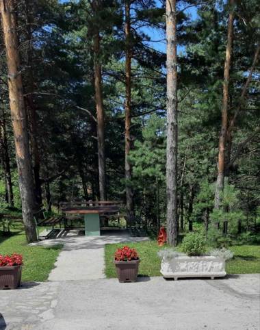 Apartman Lola Divcibare