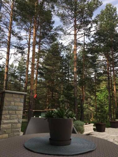 Apartman Lola Divcibare