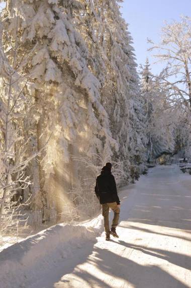 Apartment Tarski konaci