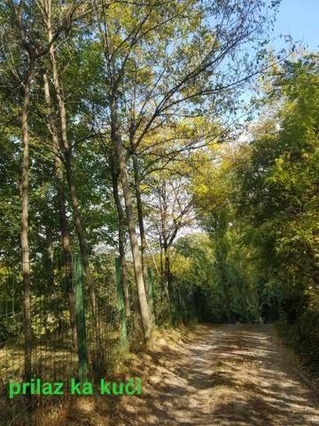 "Popov VRT" Banoštor - kuća-vikendica na Dunavu-Fruskoj Gori