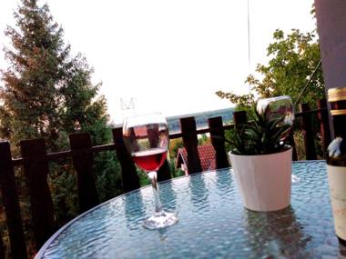 OLOR Apartman 3 - Banoštor