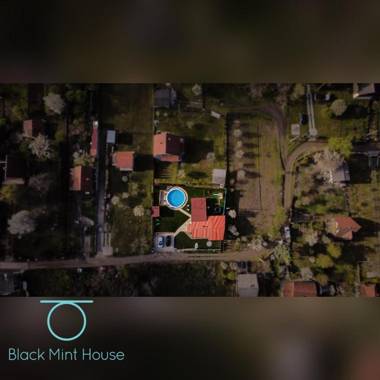 BlackMintHouse