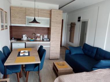 Pčelica L15 Milmari