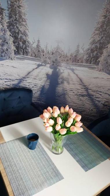 Magic View E16 Dvori-Kopaonik