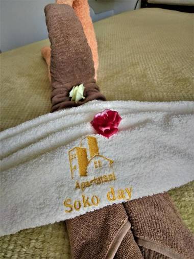 Apartmani Soko Day 1