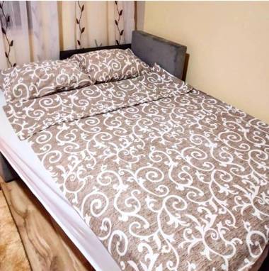 Studio Apartman Atila Sokobanja