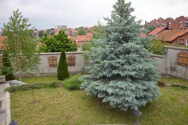 Villa Stella - Studio Apartment Smederevo
