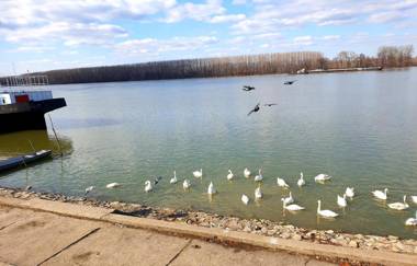 Apartment Centar Exclusive Smederevo