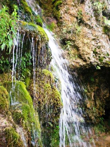 Guest House Lisinski Raj