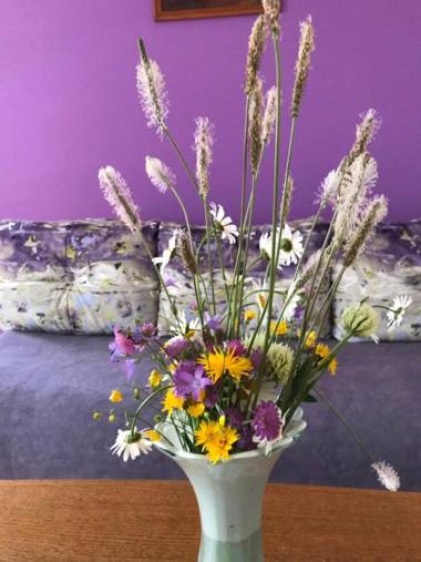 Apartman NINA Zlatar #1