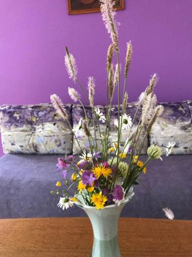 Apartman NINA Zlatar #1