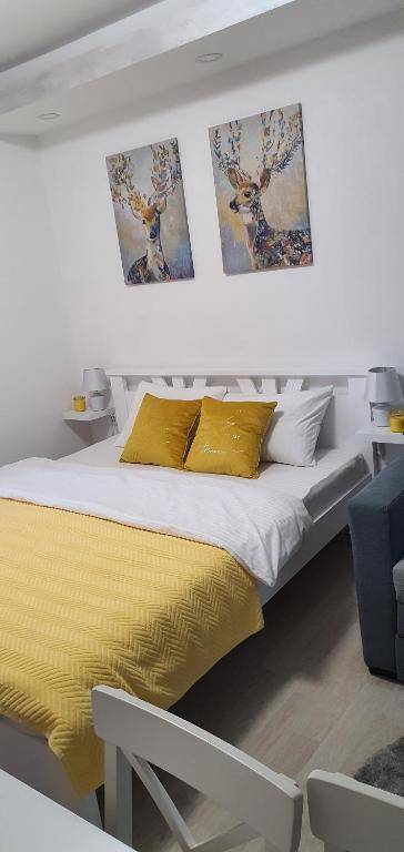 Apartman Iva