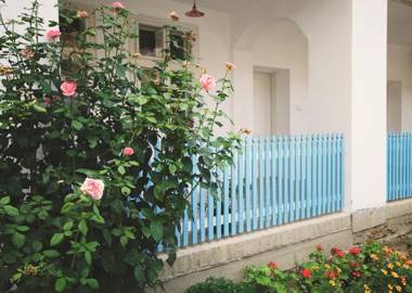 Ethno&Coffee House Tulip