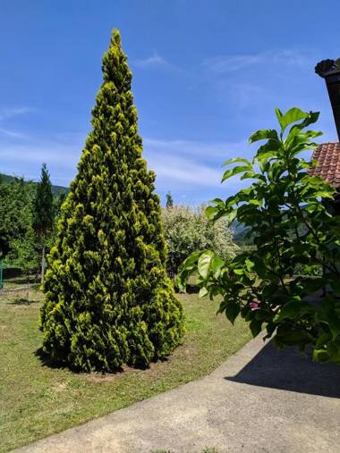 Porodična kuća za odmor Zelenika