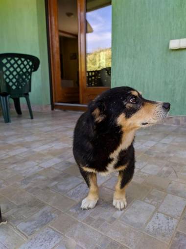 Porodična kuća za odmor Zelenika