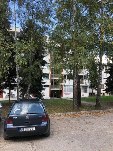 Bajina Basta / Mašta