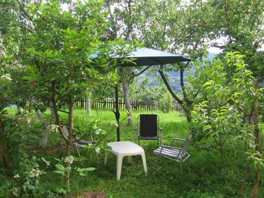 Guest house Pribojska Banja