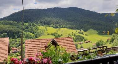 Domacinstvo Prentovic