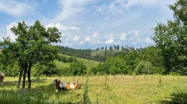 Vikendica Gradina Zlatibor