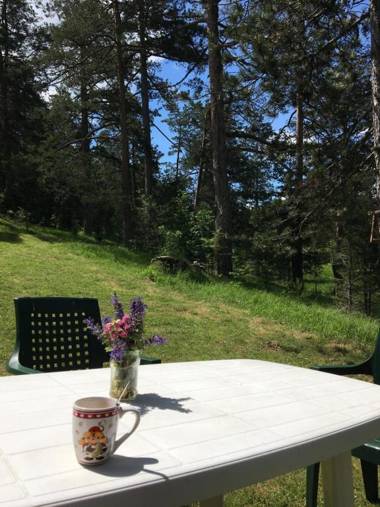 Zlatiborska kuća u šumi