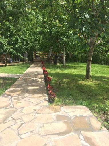 Domaćinstvo Trifunović