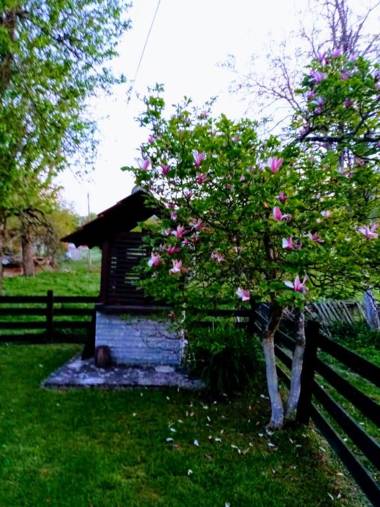 Medjedovica Brdo Godovik